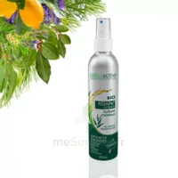 Naturactive Assaini'spray 200ml à Ris-Orangis