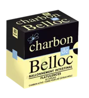 Charbon De Belloc 125 Mg Caps Molle B/60 à Ris-Orangis